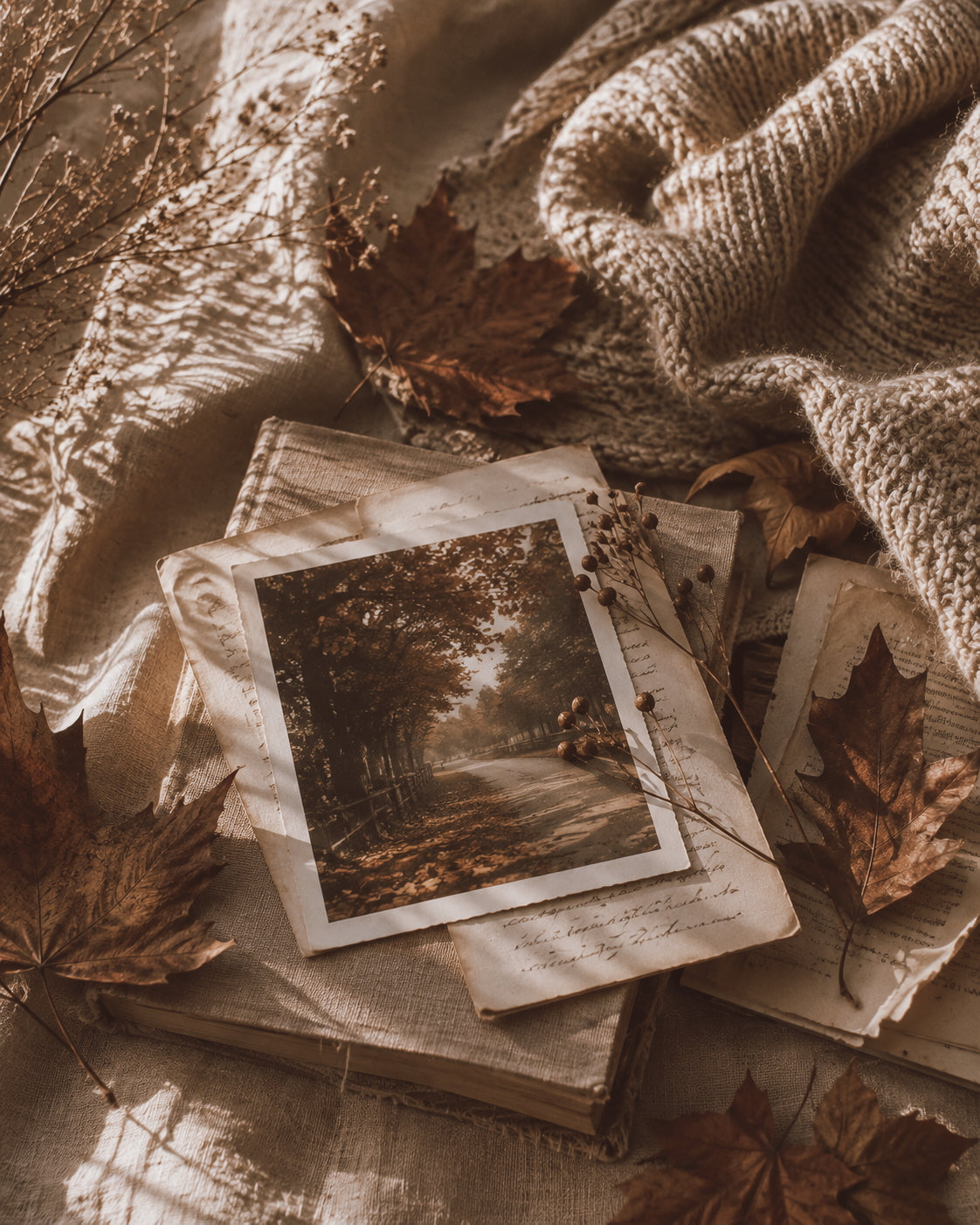 Fall Collection: Autumn, Remembered